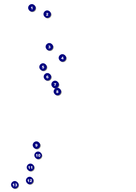 Alice in Wonderland Club Flyer Front Field Markers