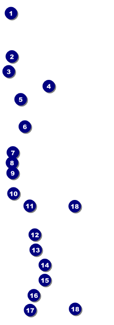 Lymphoma Raffle Ticket Front Field Markers