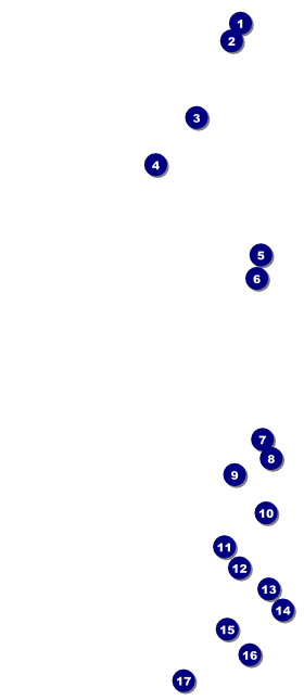 French VIP Pass Front Field Markers