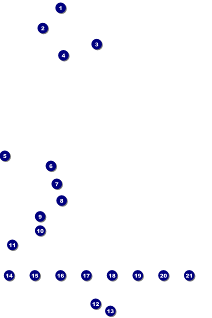 Blue Flower Logo Poster Front Field Markers