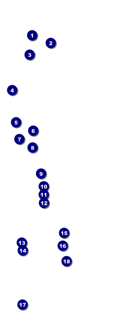 Baking VIP Pass Front Field Markers