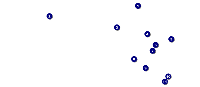 Fun Run VIP Pass Front Field Markers