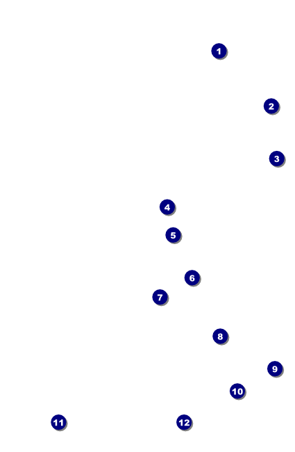 Airline Drink Ticket Front Field Markers