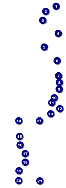 All Purpose Bright Raffle Ticket Front Field Markers