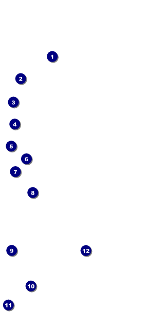 All Purpose Lights VIP Pass Front Field Markers