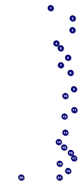 Squares VIP Pass Front Field Markers