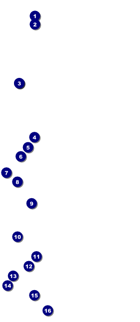 Candy VIP Pass Front Field Markers