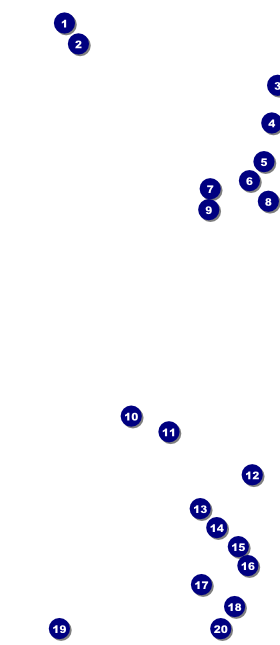 Chinese VIP Pass Front Field Markers