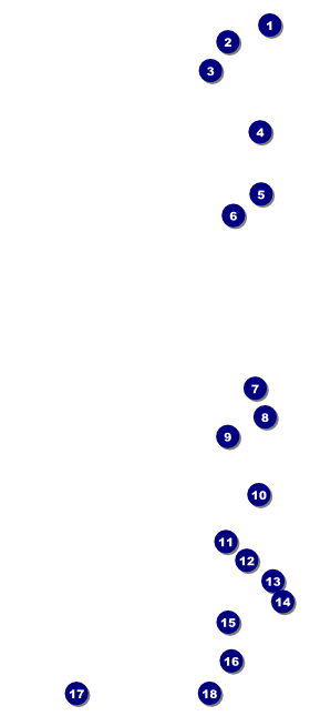 Hollywood Skyline VIP Pass Front Field Markers