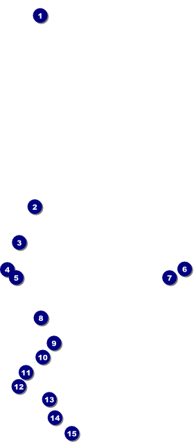 Sixties VIP Pass Front Field Markers