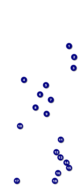 Spanish Festival VIP Pass Front Field Markers