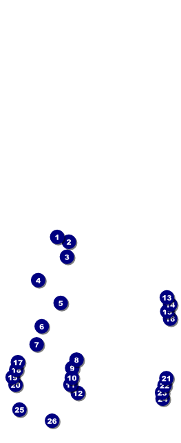 Beer Fest Table Tent Front Field Markers