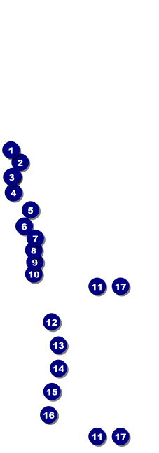 Your Photo Concert (Yellow) Raffle Ticket Front Field Markers