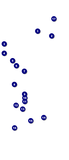 All Purpose Geometric Black and White VIP Pass Front Field Markers