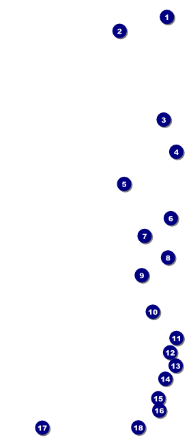 Swim Meet VIP Pass Front Field Markers