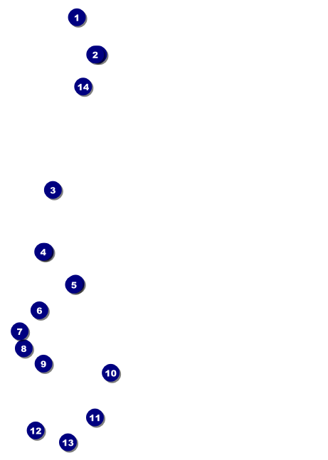 Carnival Postcard Mailer Front Field Markers