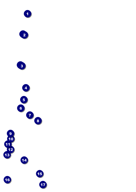 Black Friday Postcard Mailer Front Field Markers