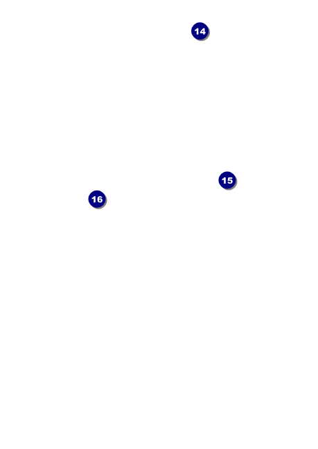 Pumpkin Patch Postcard Mailer Back Field Markers