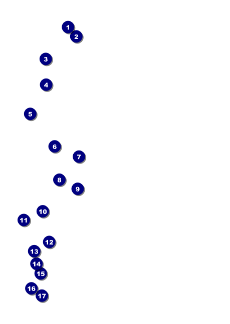 Abstract Lights Postcard Mailer Front Field Markers