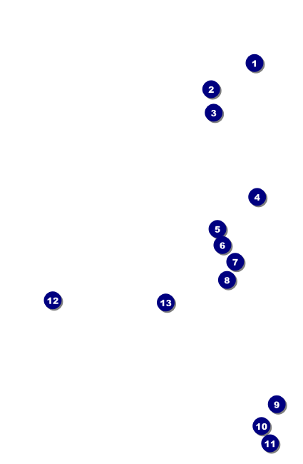 Mardi Gras Prom VIP Event Badge Small VIP Event Badge Small Front Field Markers