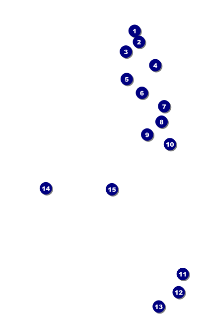 Red Carpet VIP Event Badge Medium VIP Event Badge Medium Front Field Markers