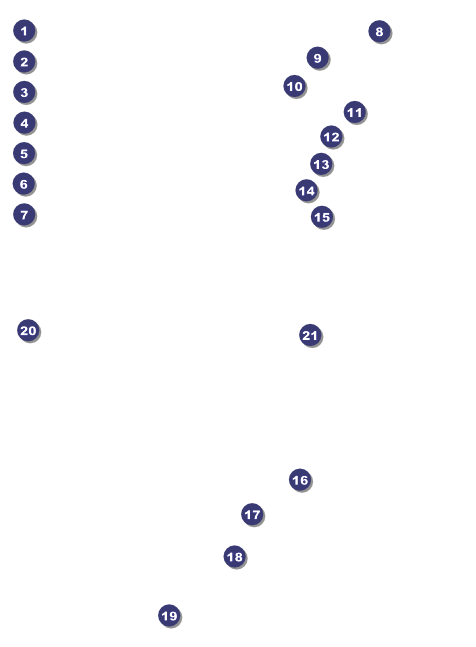 Lions Clubs International Invitation 002 Front Field Markers