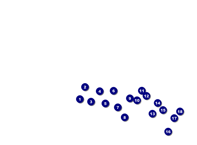 Trail Running Race Invitation Front Field Markers