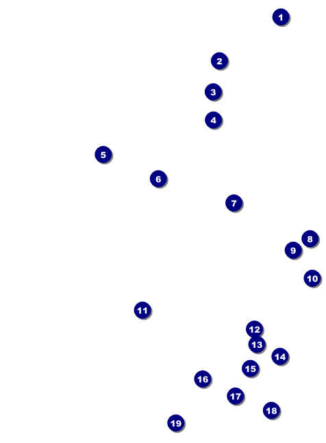 Champagne Lights Invitation Front Field Markers