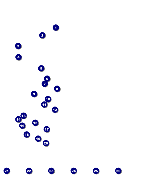 American Flag Flyer 002 Front Field Markers