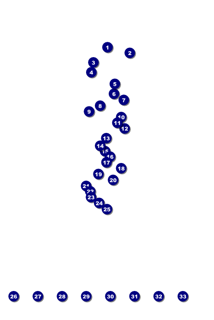 Natural Riffs Poster Front Field Markers