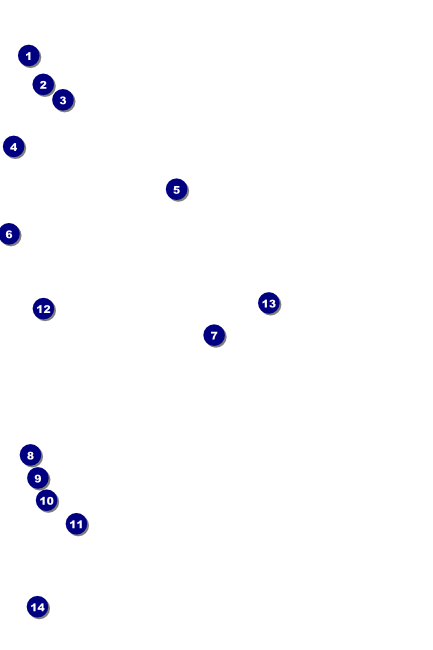 Roller Derby Pink Leopard Logo Banner Poster 2 Front Field Markers