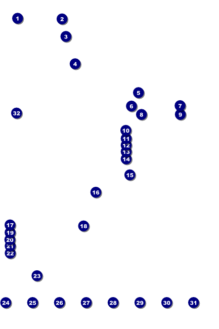 Class Reunion Mascot Orange Logo Poster Front Field Markers