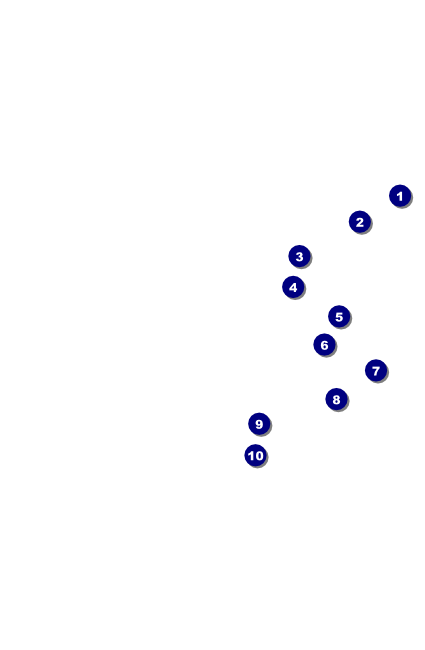 Texas Drink Ticket 002 Front Field Markers