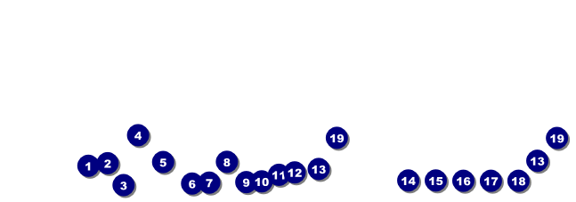 Washington D.C. Raffle Ticket Front Field Markers