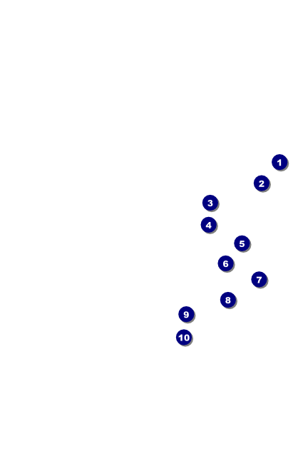 Maryland Drink Ticket Front Field Markers