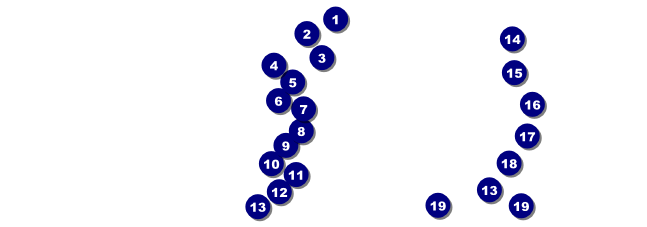 California Raffle (Blue and Salmon) Front Field Markers