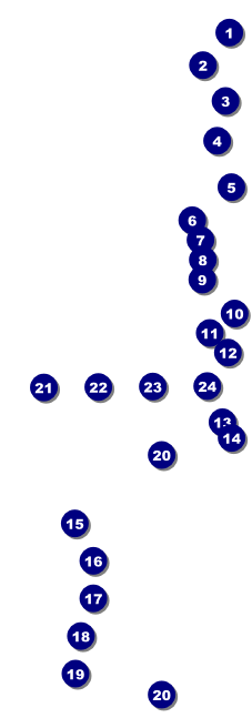 Alternative Music Raffle Ticket Front Field Markers