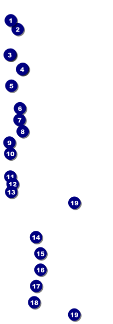 Basketball Court Raffle Ticket Front Field Markers