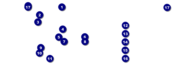 Lions Club International Banner Raffle Ticket Front Field Markers
