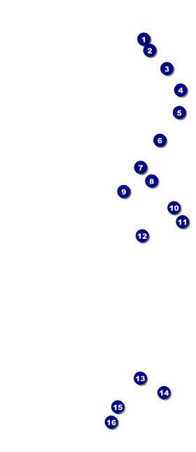 West Virginia VIP Pass Front Field Markers