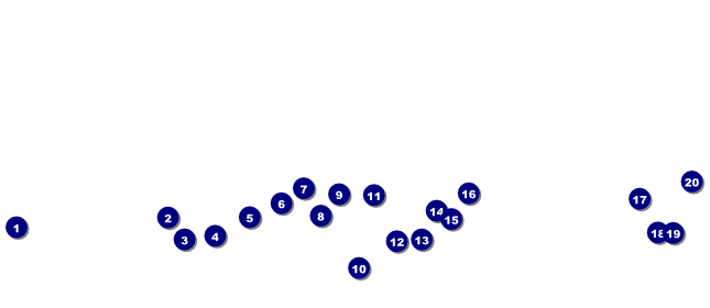 Connecticut VIP Pass Front Field Markers