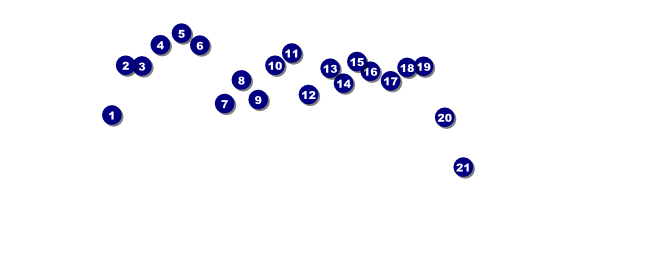 Georgia VIP Pass Front Field Markers