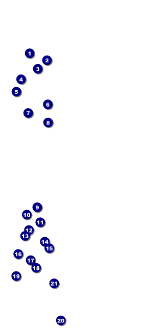 Vermont VIP Pass Front Field Markers