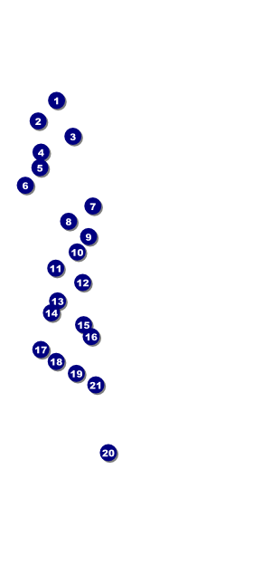 Montana VIP Front Field Markers