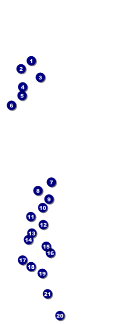 Alaska VIP Pass Front Field Markers