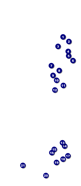 South Carolina VIP-Pass Front Field Markers