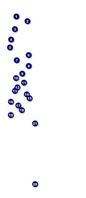 Pennsylvania VIP Pass Front Field Markers