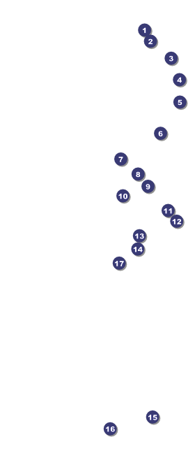 Massachusetts VIP Front Field Markers