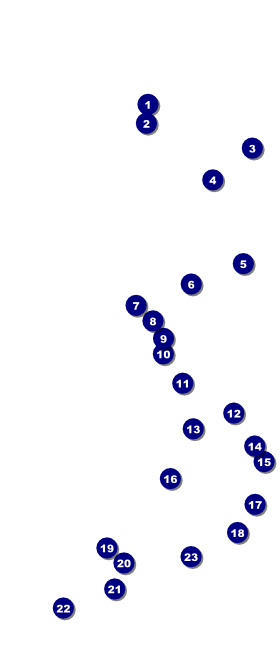 Fireworks VIP Pass Front Field Markers