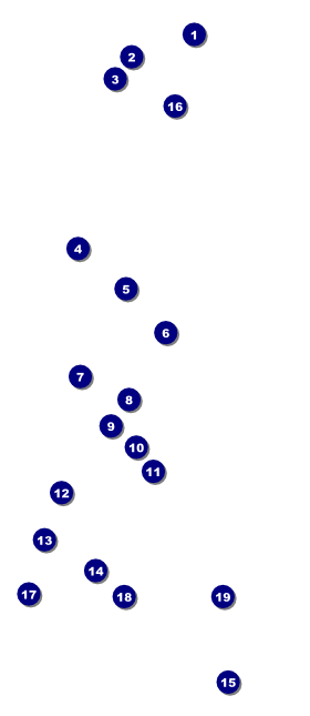 Autism Awareness VIP Pass Front Field Markers